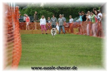 Bild 056.jpg