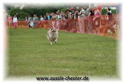 Bild 062.jpg