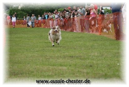 Bild 063.jpg
