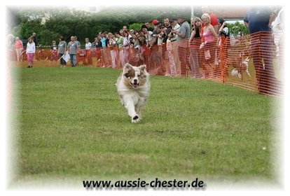 Bild 064.jpg