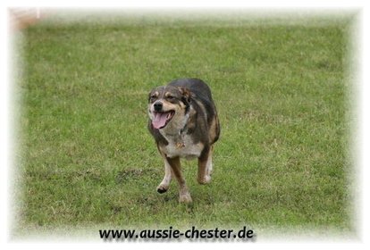 Bild 75.jpg