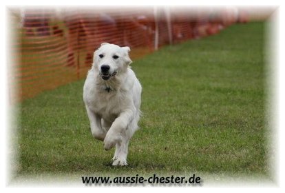 Bild 76.jpg